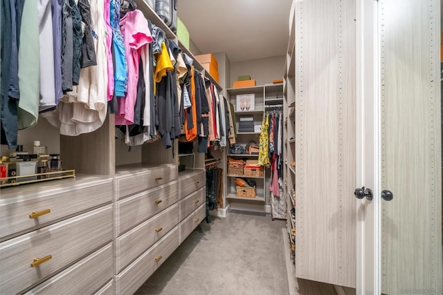 spacious closet with light colored carpet