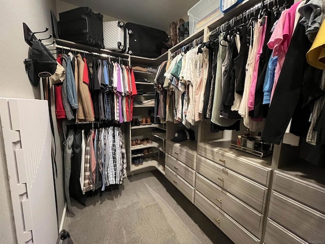 spacious closet with carpet flooring