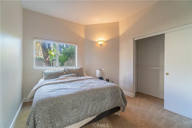 bedroom featuring carpet flooring