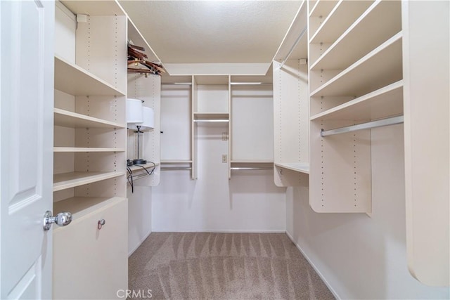 walk in closet featuring carpet flooring