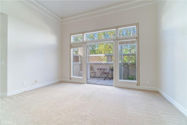 carpeted empty room with crown molding