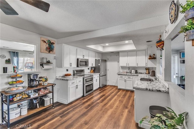 kitchen featuring dark wood-type flooring, sink, appliances with stainless steel finishes, a tray ceiling, and white cabinetry