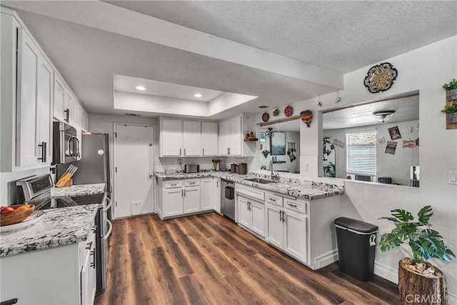 kitchen featuring dark hardwood / wood-style flooring, stainless steel appliances, a raised ceiling, sink, and white cabinets