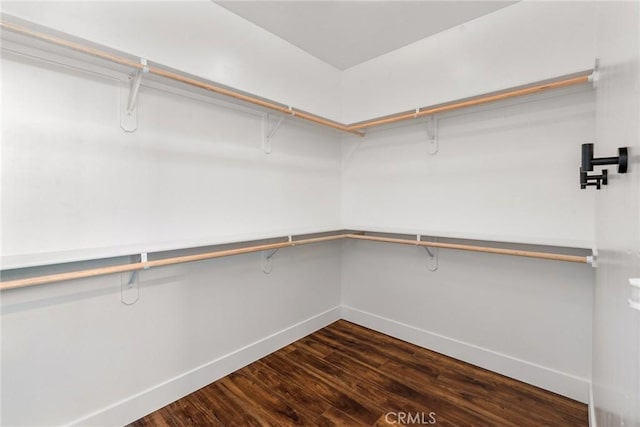 walk in closet featuring dark hardwood / wood-style floors