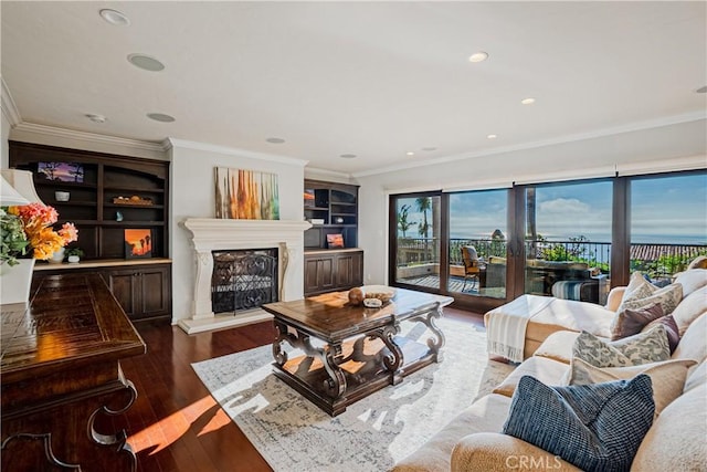 living room featuring a fireplace, dark hardwood / wood-style flooring, and ornamental molding