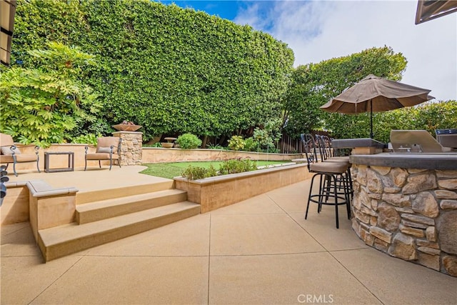 view of patio / terrace with grilling area, an outdoor kitchen, and an outdoor bar