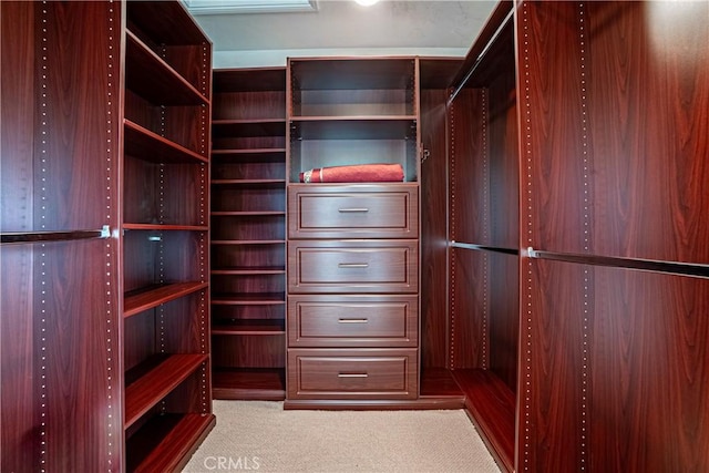 spacious closet featuring light carpet