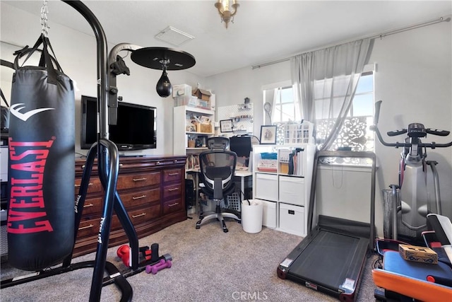 exercise area featuring light carpet