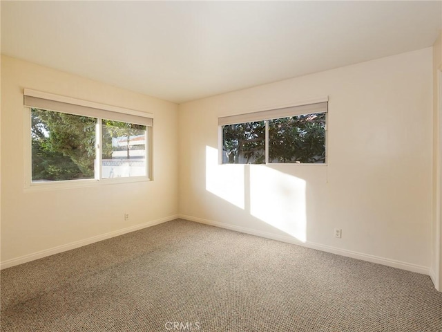 spare room with carpet floors