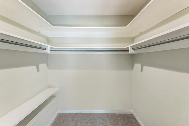 spacious closet with carpet