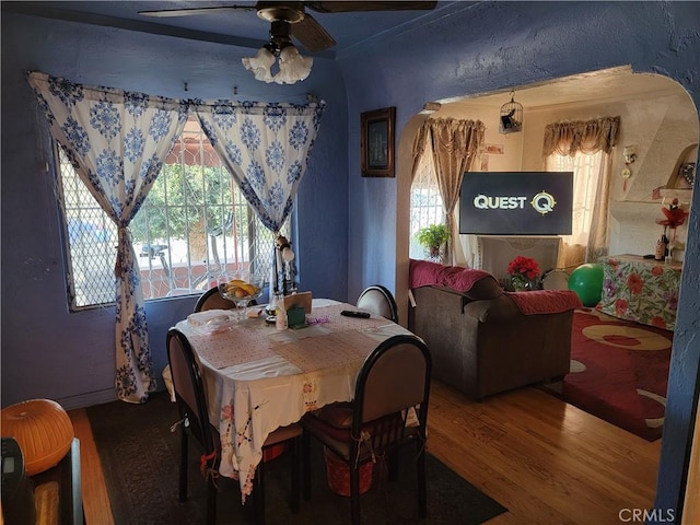 dining space featuring ceiling fan and hardwood / wood-style floors