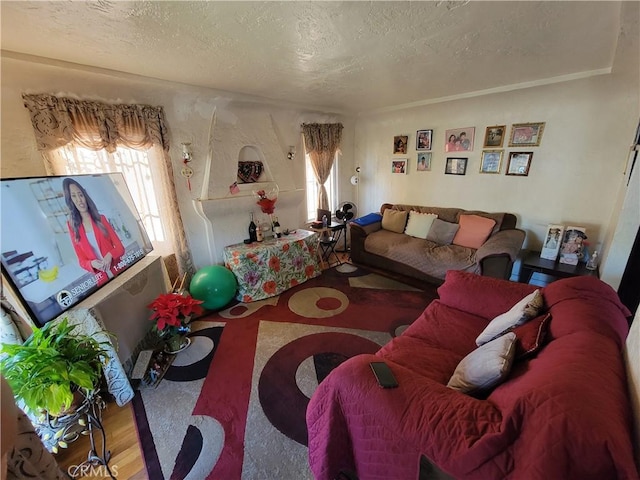 living room featuring a textured ceiling and hardwood / wood-style floors