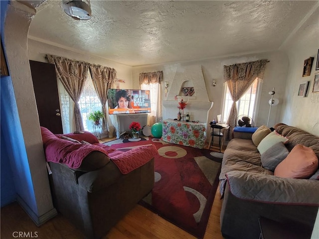 living room with hardwood / wood-style flooring and a textured ceiling