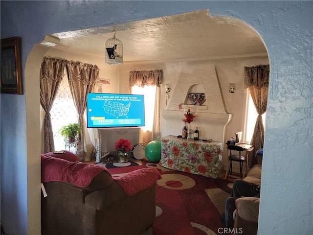 living room with a textured ceiling