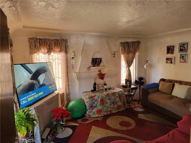 living room featuring plenty of natural light and a textured ceiling