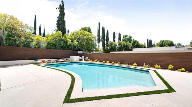 view of swimming pool featuring a patio area