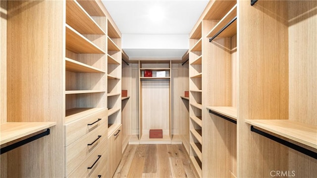 walk in closet featuring light hardwood / wood-style flooring