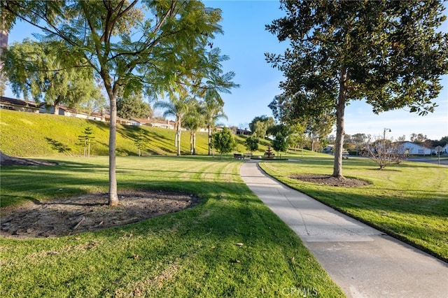 view of community with a yard