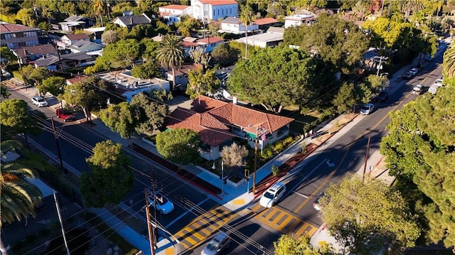 bird's eye view