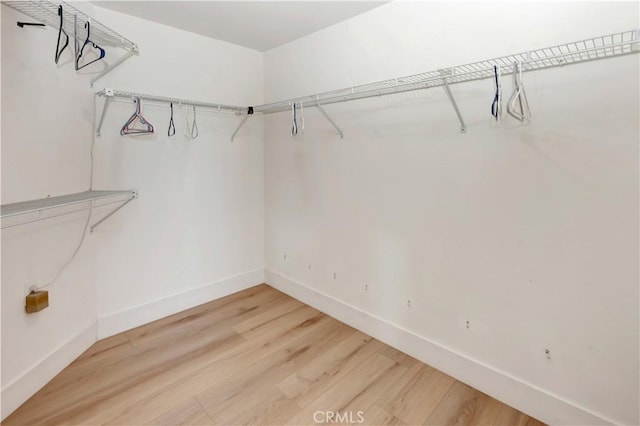 walk in closet featuring wood-type flooring