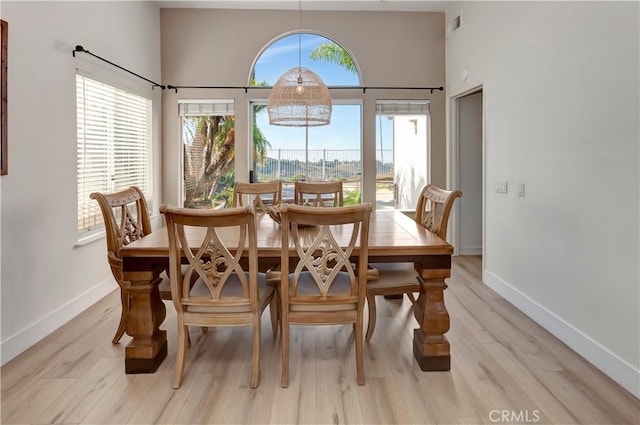 dining room featuring plenty of natural light and light hardwood / wood-style flooring