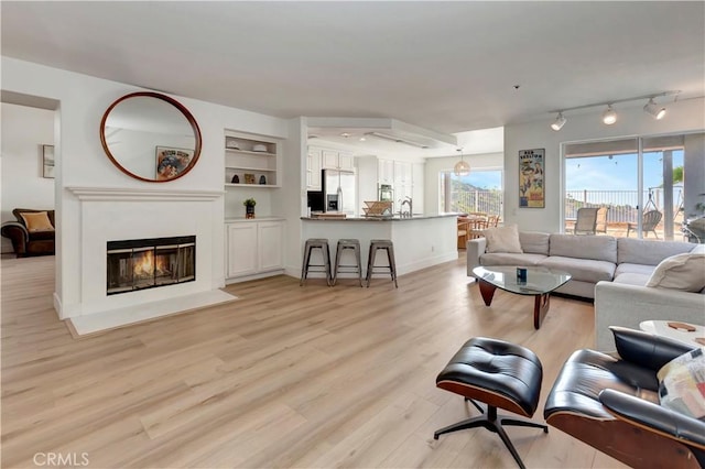 living room with light hardwood / wood-style floors and built in shelves