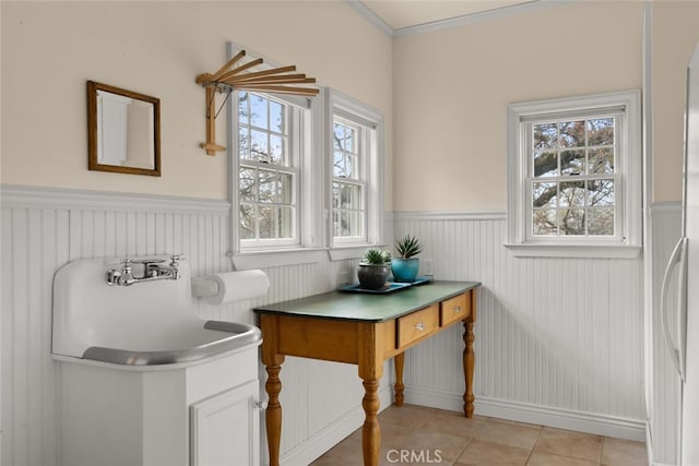 interior space featuring sink, a wealth of natural light, and ornamental molding