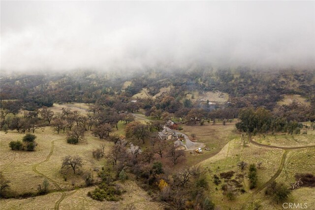 3576 Dry Creek Rd, Butte Valley, CA 95965 - photo 74