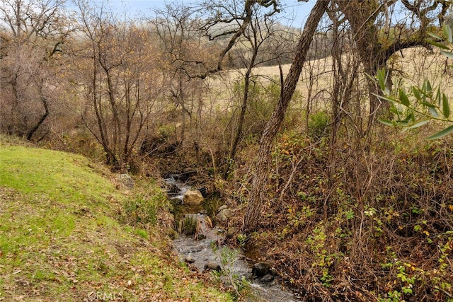 view of landscape