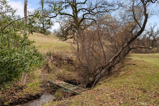 view of nature