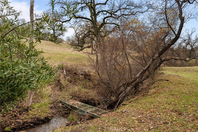 3576 Dry Creek Rd, Butte Valley, CA 95965 - photo 57