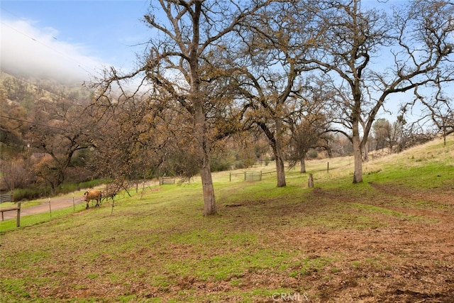 view of yard featuring a rural view