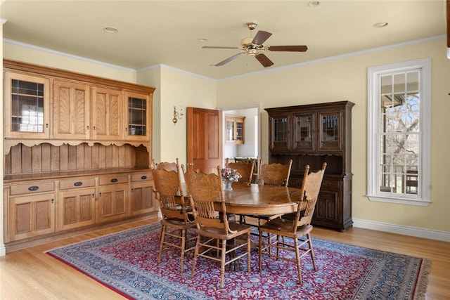 dining space featuring ceiling fan, light hardwood / wood-style flooring, and crown molding