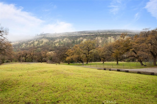 view of yard with a rural view and a mountain view