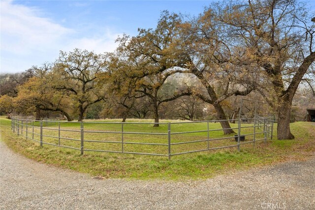 3576 Dry Creek Rd, Butte Valley, CA 95965 - photo 61