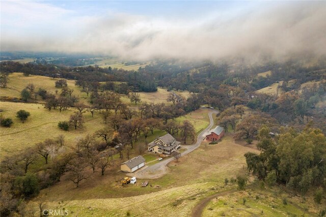3576 Dry Creek Rd, Butte Valley, CA 95965 - photo 73