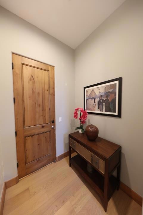 entrance foyer featuring light hardwood / wood-style flooring