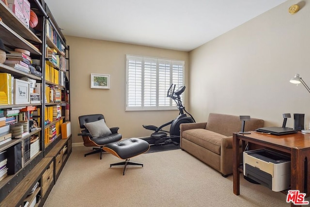 living area with light carpet