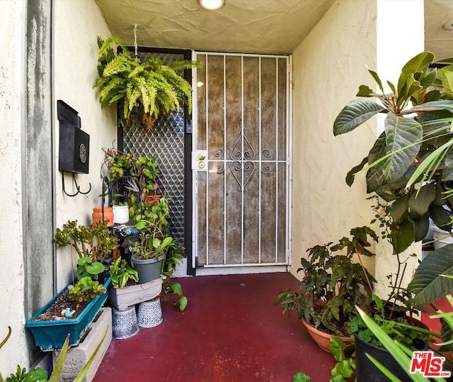 view of doorway to property