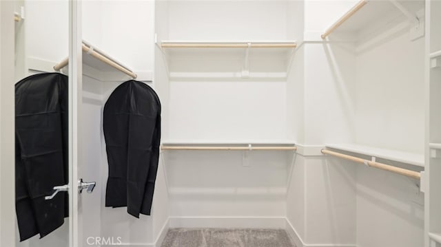 spacious closet featuring light carpet