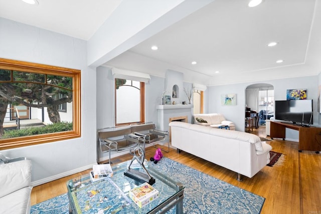living room featuring hardwood / wood-style flooring