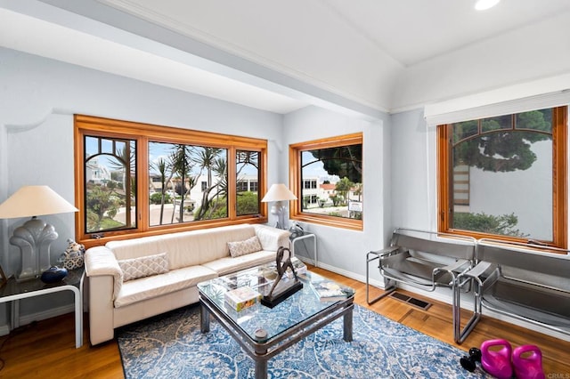 living room featuring a wealth of natural light and hardwood / wood-style flooring