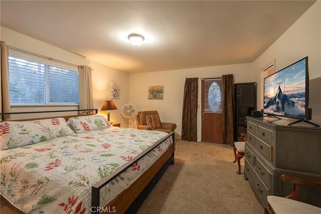 bedroom featuring carpet