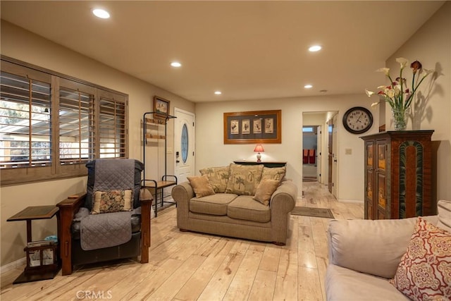 living room featuring light hardwood / wood-style flooring