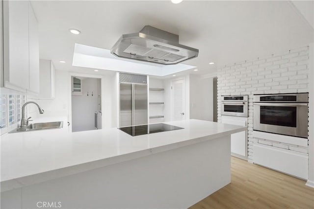 kitchen featuring appliances with stainless steel finishes, white cabinets, sink, and ventilation hood