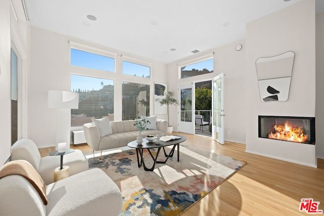 living room featuring french doors and wood-type flooring