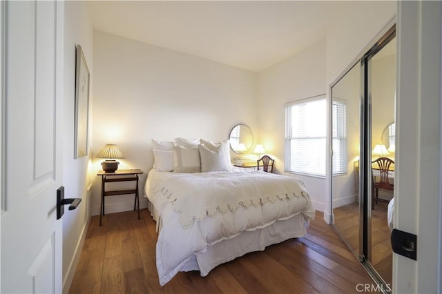 bedroom with a closet and wood-type flooring