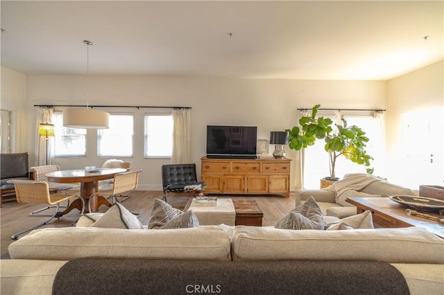 living room with hardwood / wood-style flooring