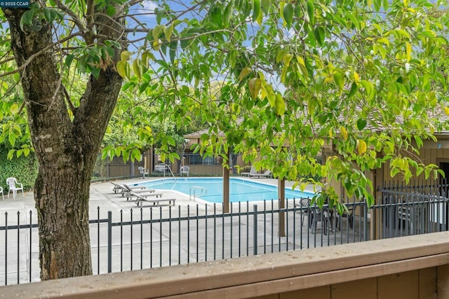 view of swimming pool featuring a patio area