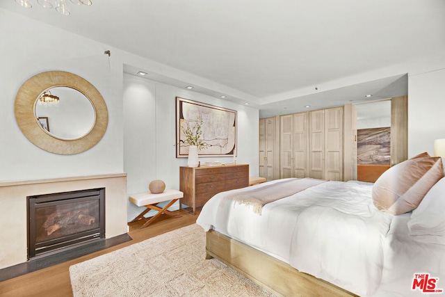 bedroom featuring wood-type flooring and a closet